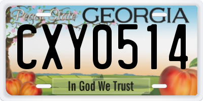 GA license plate CXY0514