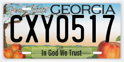 GA license plate CXY0517