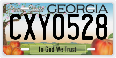 GA license plate CXY0528