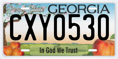 GA license plate CXY0530