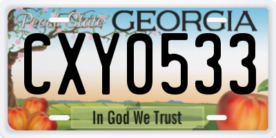 GA license plate CXY0533