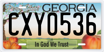 GA license plate CXY0536