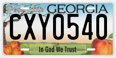 GA license plate CXY0540