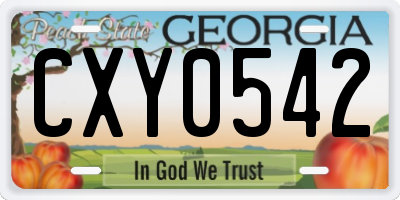 GA license plate CXY0542