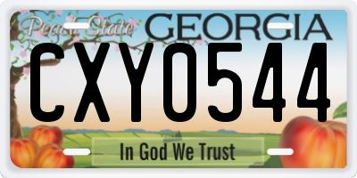 GA license plate CXY0544