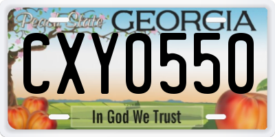 GA license plate CXY0550