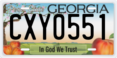 GA license plate CXY0551