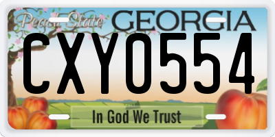 GA license plate CXY0554
