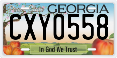 GA license plate CXY0558
