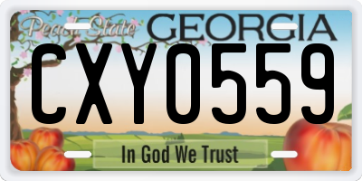 GA license plate CXY0559