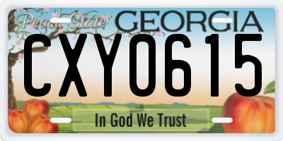 GA license plate CXY0615