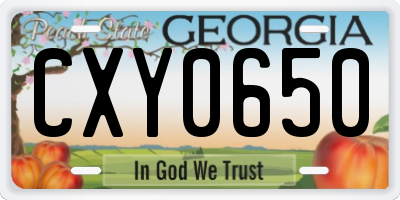 GA license plate CXY0650