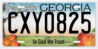 GA license plate CXY0825