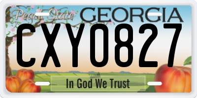 GA license plate CXY0827