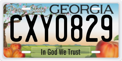 GA license plate CXY0829
