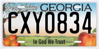 GA license plate CXY0834
