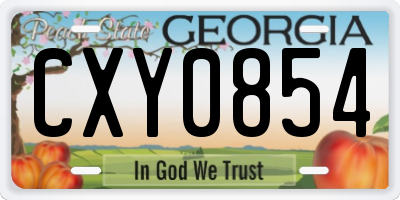 GA license plate CXY0854