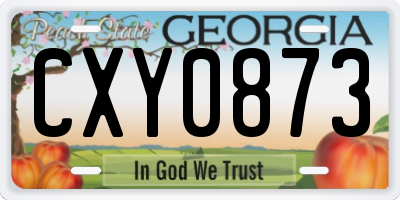 GA license plate CXY0873
