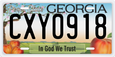 GA license plate CXY0918