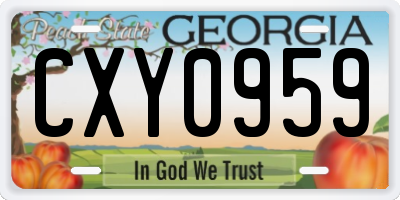 GA license plate CXY0959