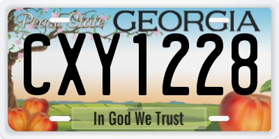 GA license plate CXY1228