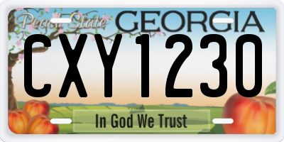 GA license plate CXY1230
