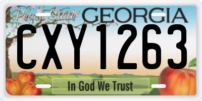 GA license plate CXY1263