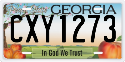 GA license plate CXY1273