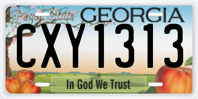 GA license plate CXY1313