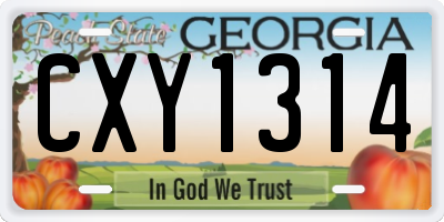 GA license plate CXY1314