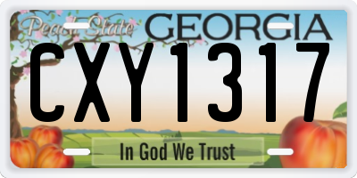 GA license plate CXY1317
