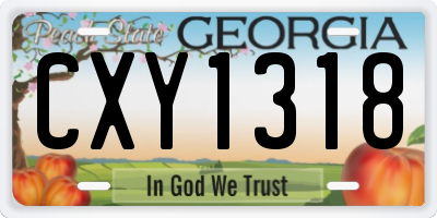 GA license plate CXY1318