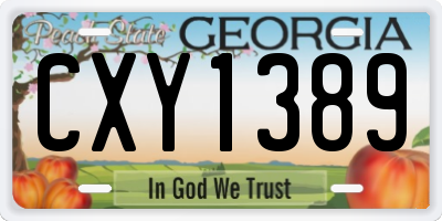 GA license plate CXY1389