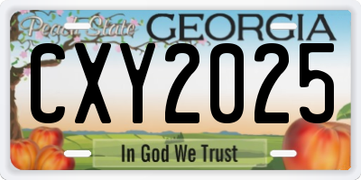 GA license plate CXY2025