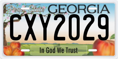 GA license plate CXY2029