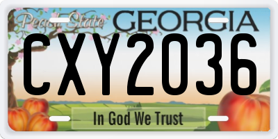 GA license plate CXY2036