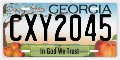 GA license plate CXY2045