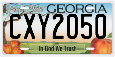 GA license plate CXY2050