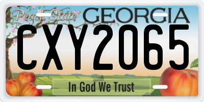 GA license plate CXY2065