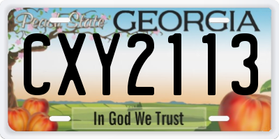 GA license plate CXY2113