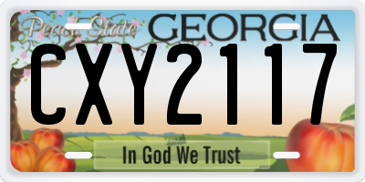 GA license plate CXY2117