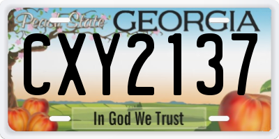 GA license plate CXY2137