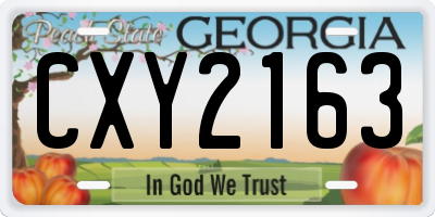 GA license plate CXY2163