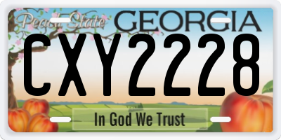 GA license plate CXY2228