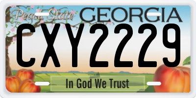 GA license plate CXY2229