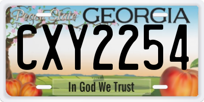 GA license plate CXY2254