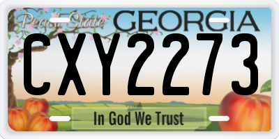GA license plate CXY2273
