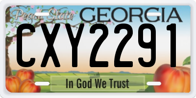 GA license plate CXY2291