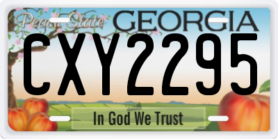 GA license plate CXY2295