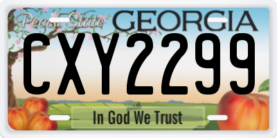 GA license plate CXY2299